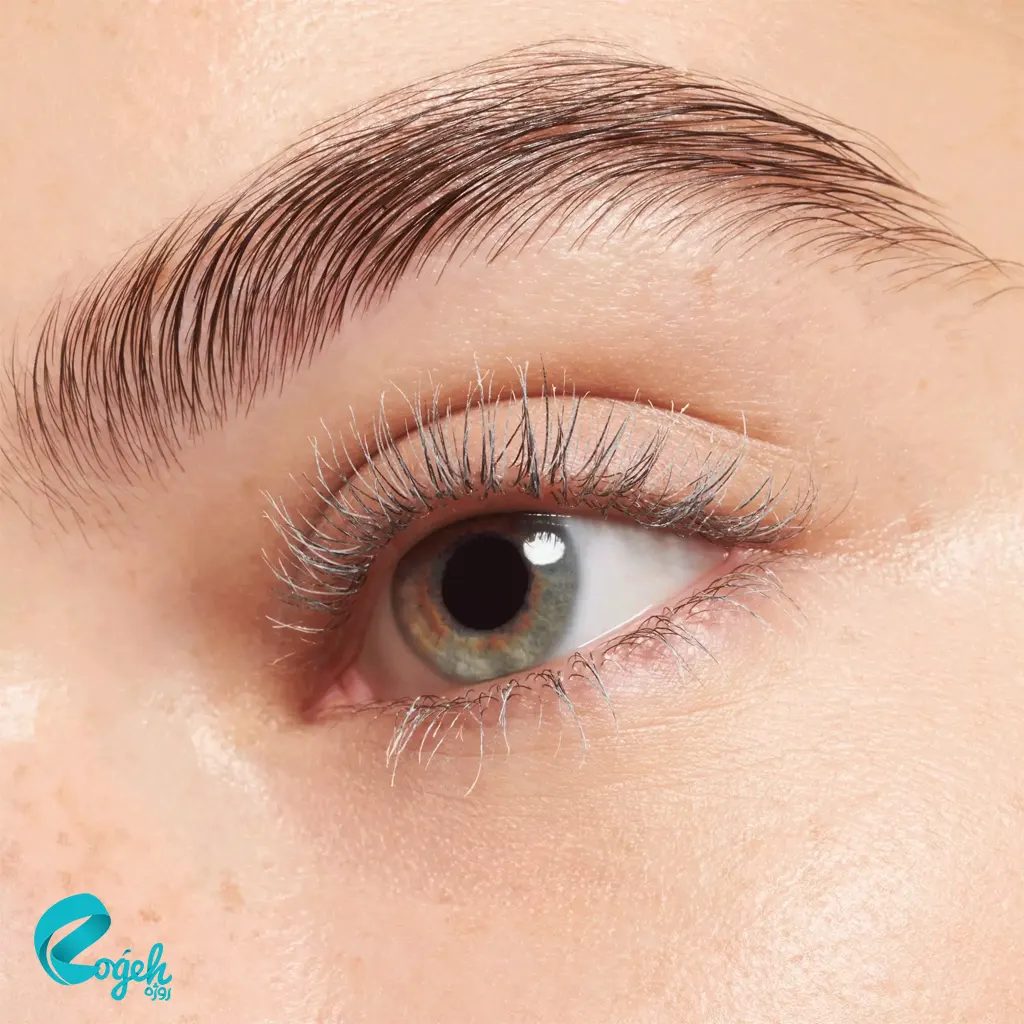 پرایمر تقویت‌کننده مژه اسنس مدل Volume Booster
